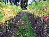 091101 Cab Harvested.gif